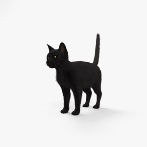 cat black 3D model