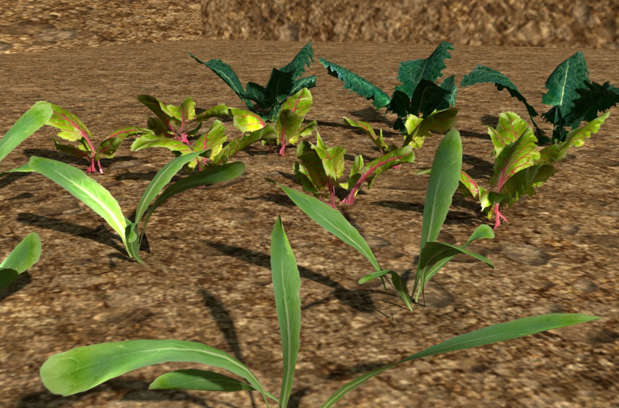 Crops 3d