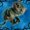 member avatar