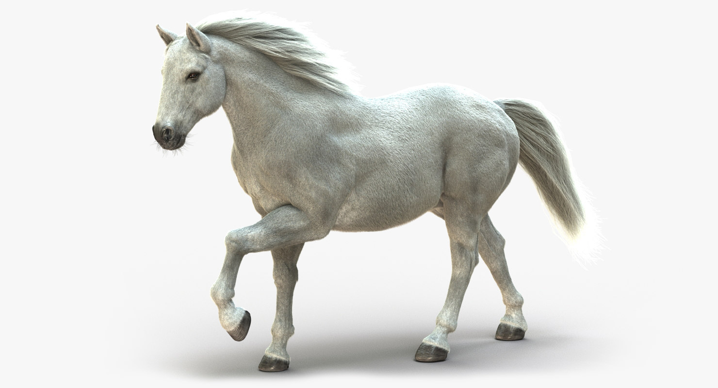 Billedresultat for white horse animation