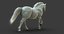 3D horse white fur animation model