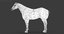 3D horse white fur animation model