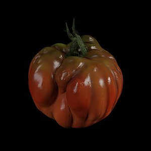 tomato model