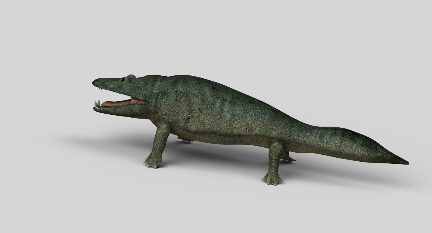 Mastodonsaurus 3D model - TurboSquid 1358723