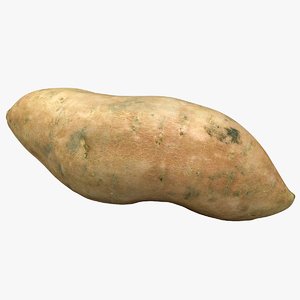 sweet potato model