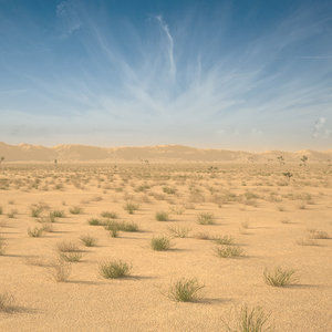 3D desert landscape model