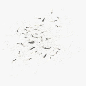 scattered feathers large 3D model