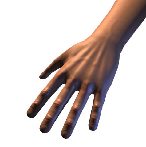 realistic hands physics controller 3D model