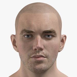 3D male head