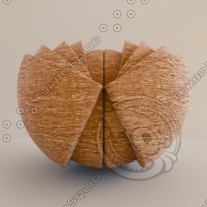 cedar
