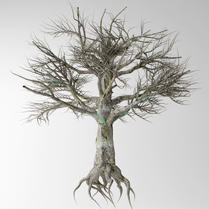 3D tree trunk