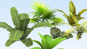 set tropical plant model