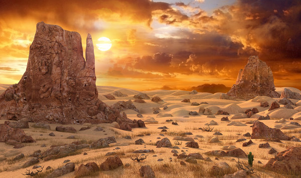 Special Groomsmen Gift Ideas