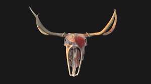 bloody deer skull 3D