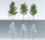 3D trees