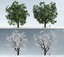 3D trees