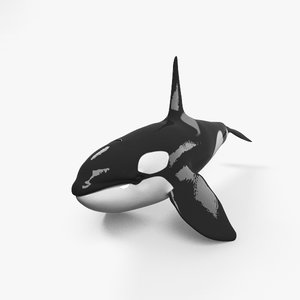 3D killer whale