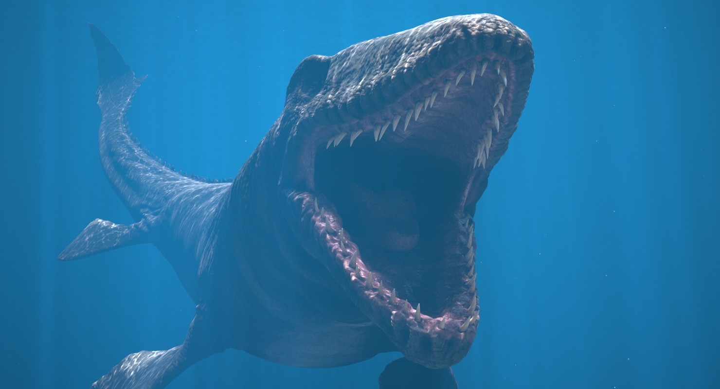 buy mosasaurus