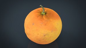 3D model fruit food