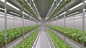 hydroponics farm 3D model