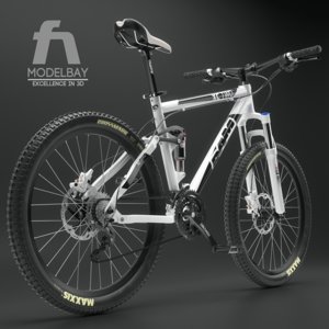 mountain bike ram 3D