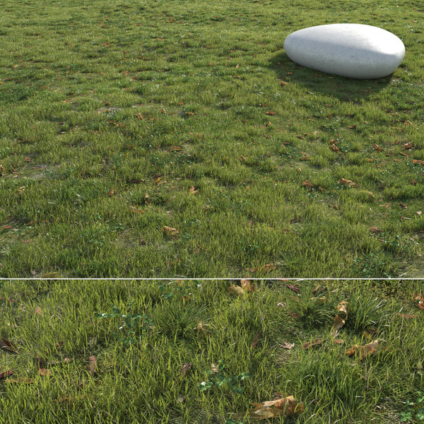 3d Grass Field Model Turbosquid