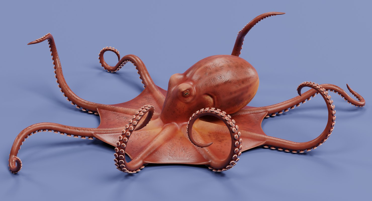 flippable octopus big