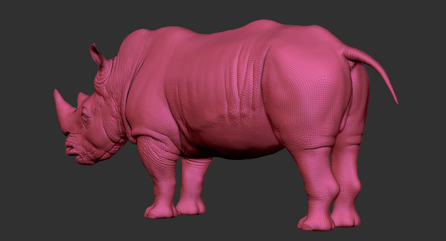 Realistic rhino model TurboSquid 1351004