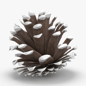 3D frosted-pine-cones---05