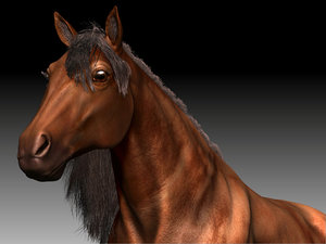realistical horse 3d 3ds