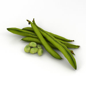 3D green bean model