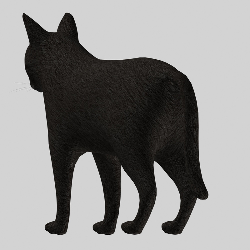 3D black cat modeled model - TurboSquid 1363374