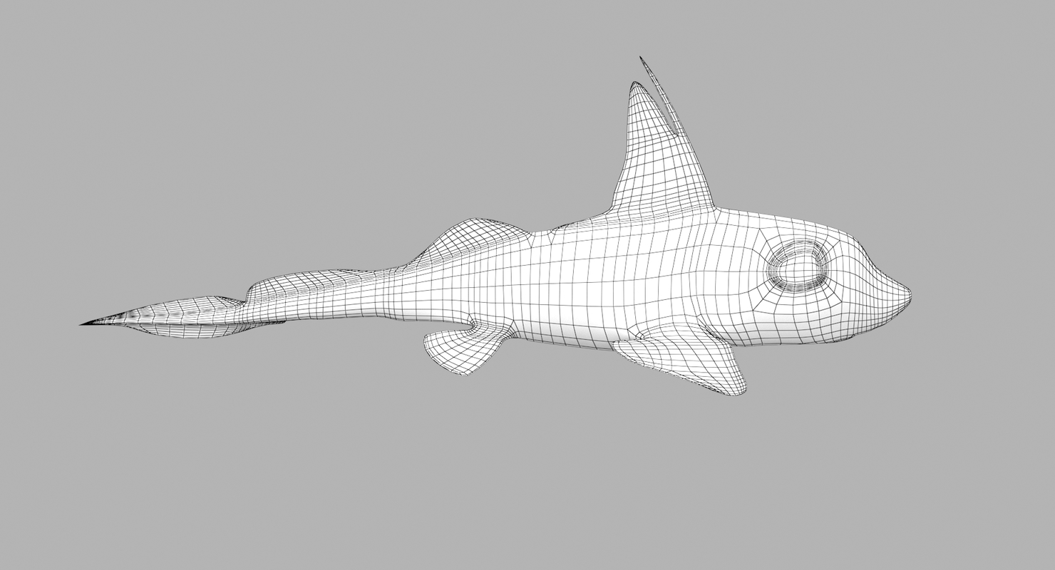 3D spotted ratfish model - TurboSquid 1363521