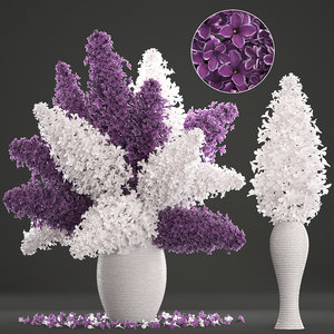 bouquet lilac 3D