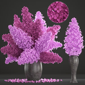 3D bouquet lilac syringa