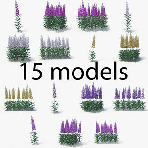 digitalis flowers 3D model