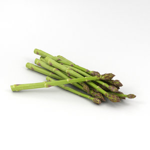 3D asparagus vegetable food model