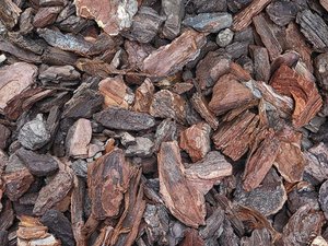 wood texture