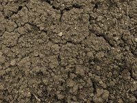 dry land texture