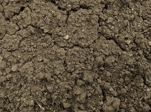dry land texture