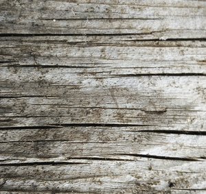 wood texture