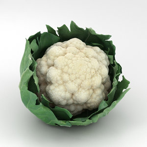 3D cauliflower vegetable food