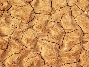 dry land texture