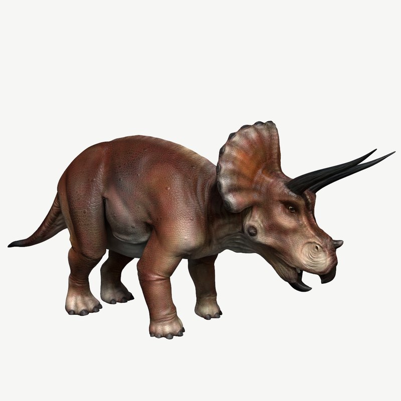 triceratops view in 3d