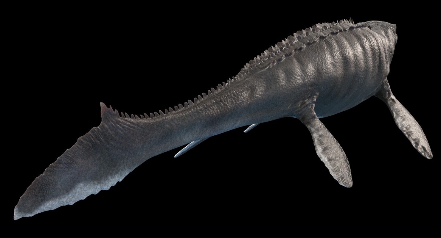 mosasaurus 3d google