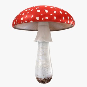realistic mushrooms amanita 01 3D model