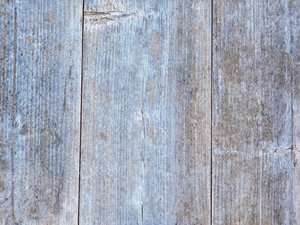 wood texture