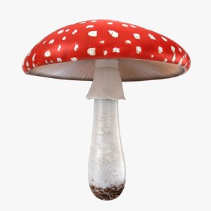 realistic mushrooms amanita 02 3D