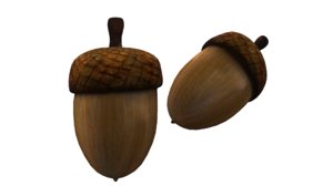 acorn 3D model