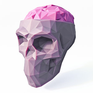 skull brain 3D model